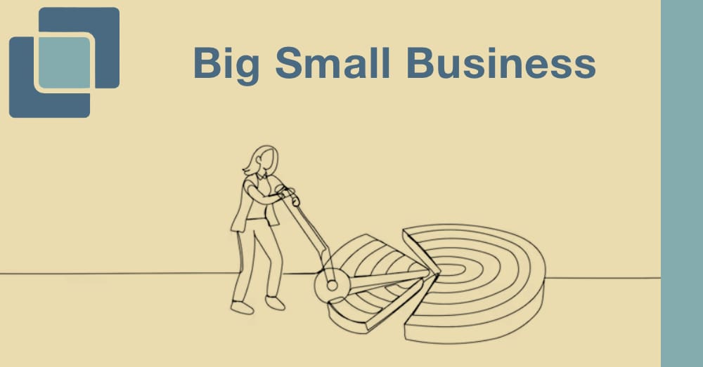 Big Small Business